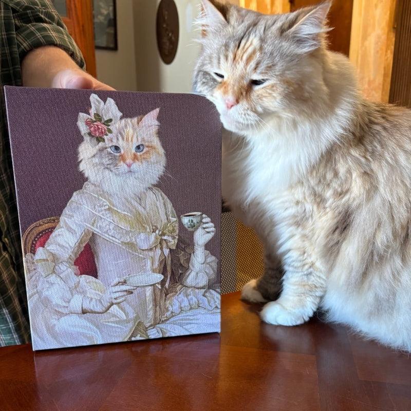 Your Cat’s Noticing More Than You Think (Even That Wall Art)