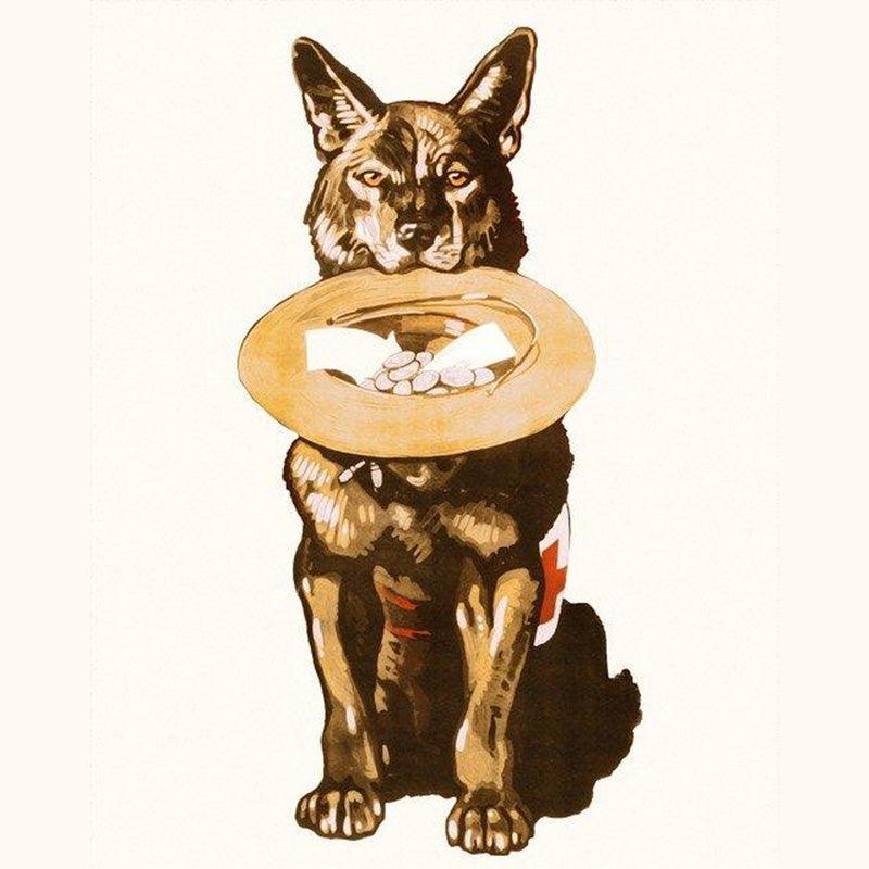 Keeping Them Close: How Pet Portraits Help Us Remember