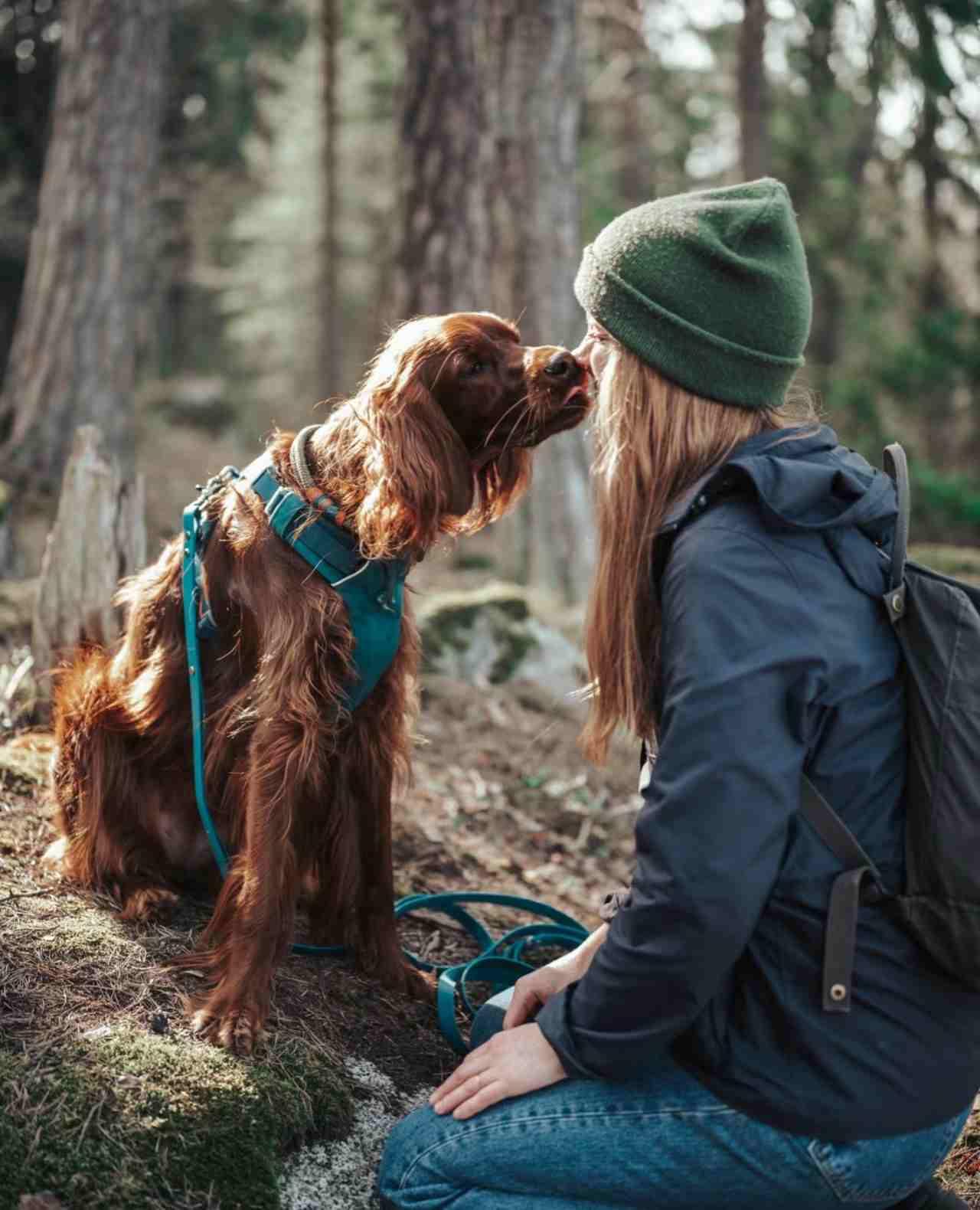 How to Bond with Your Pet Quickly