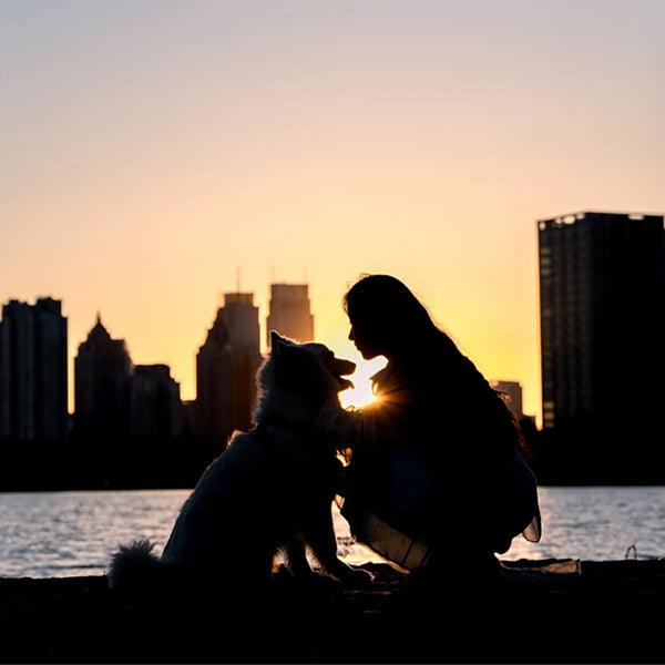 🐾 When Pets Leave, Love Remains