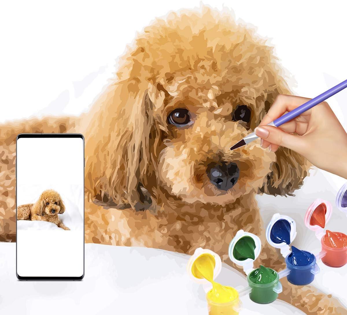 custom DIY pet painting by numbers