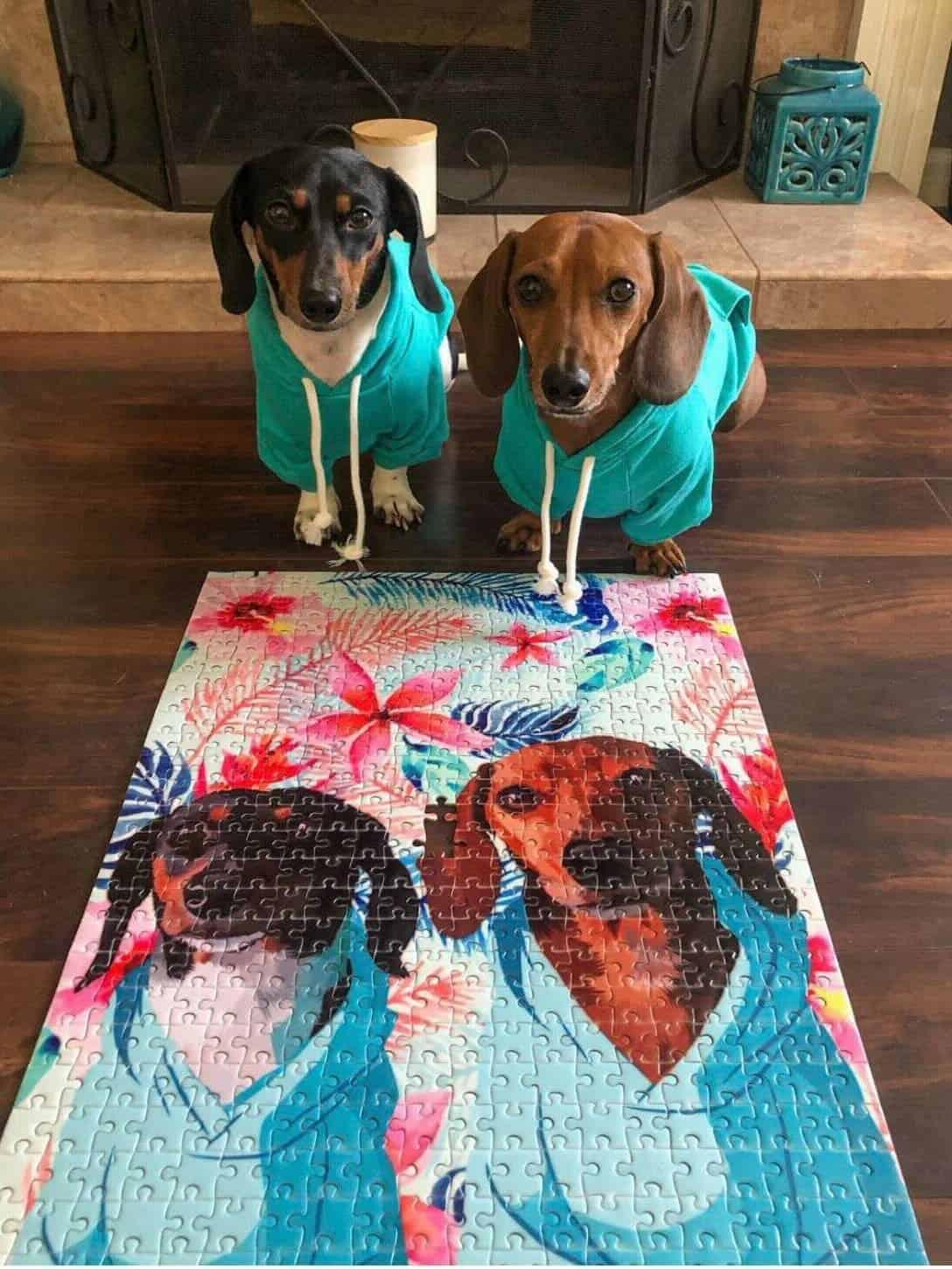 Custom Pet Puzzle – A Heartwarming Gift for Pet Lovers