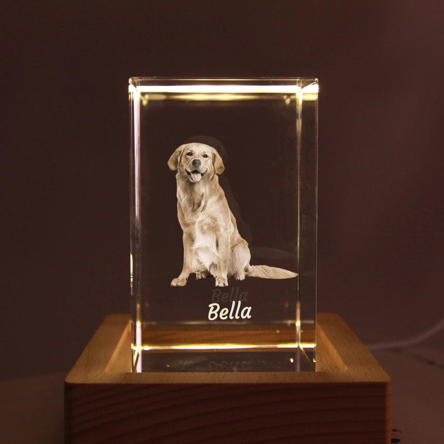 Custom Pet Crystal Carving | Personalised 3D Pet Crystal Keepsake