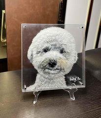 Custom Hand-Painted 3D Layered Pet Portrait