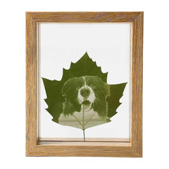 Custom Pet Leaf Carving – Handcrafted Portrait on a Real Leaf