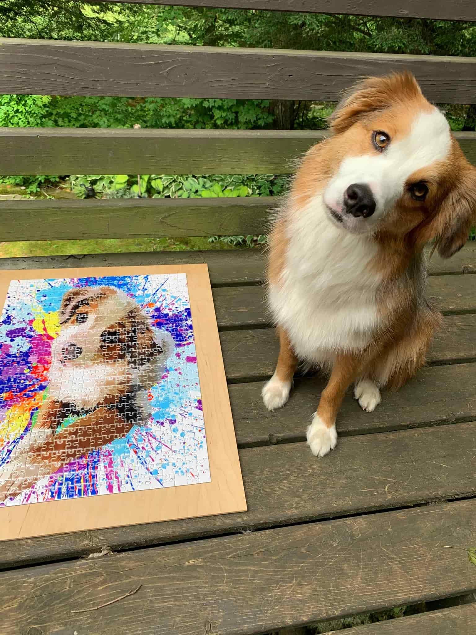 Custom Pet Puzzle – A Heartwarming Gift for Pet Lovers