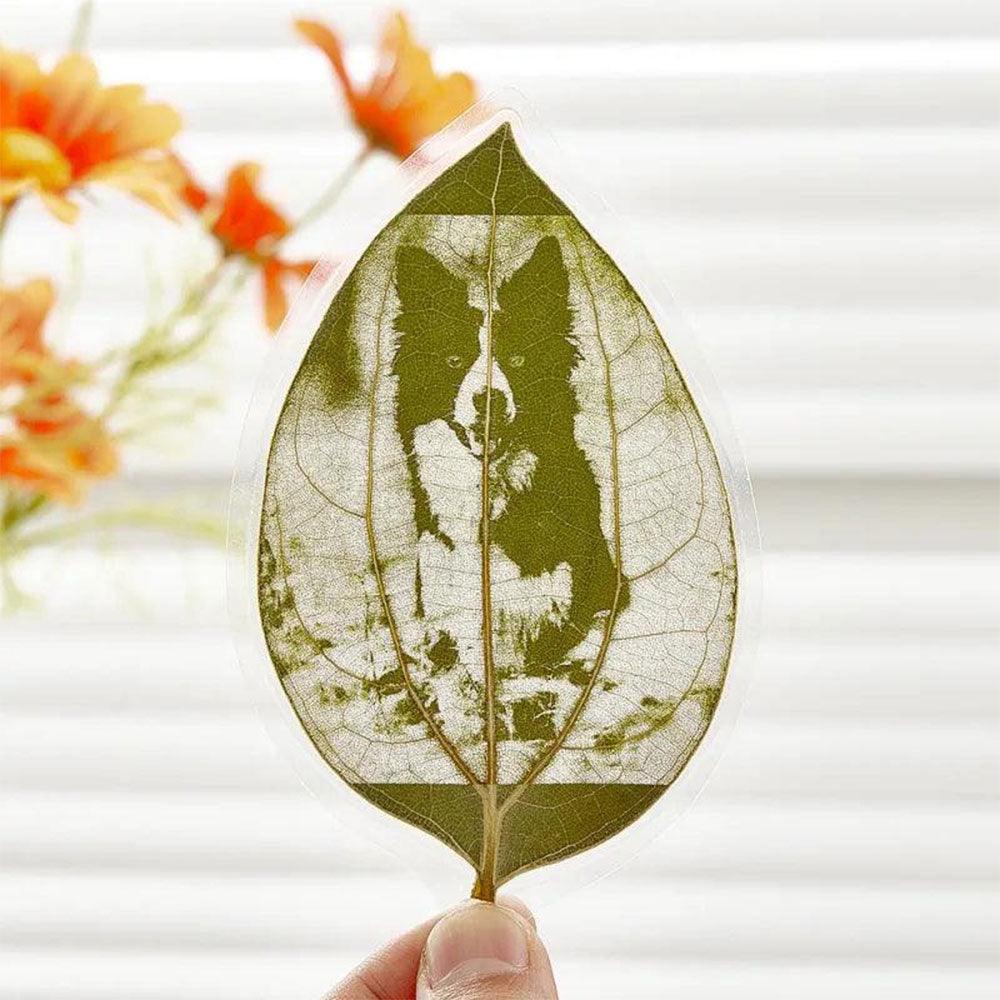 Custom Pet Leaf Carving – Handcrafted Portrait on a Real Leaf