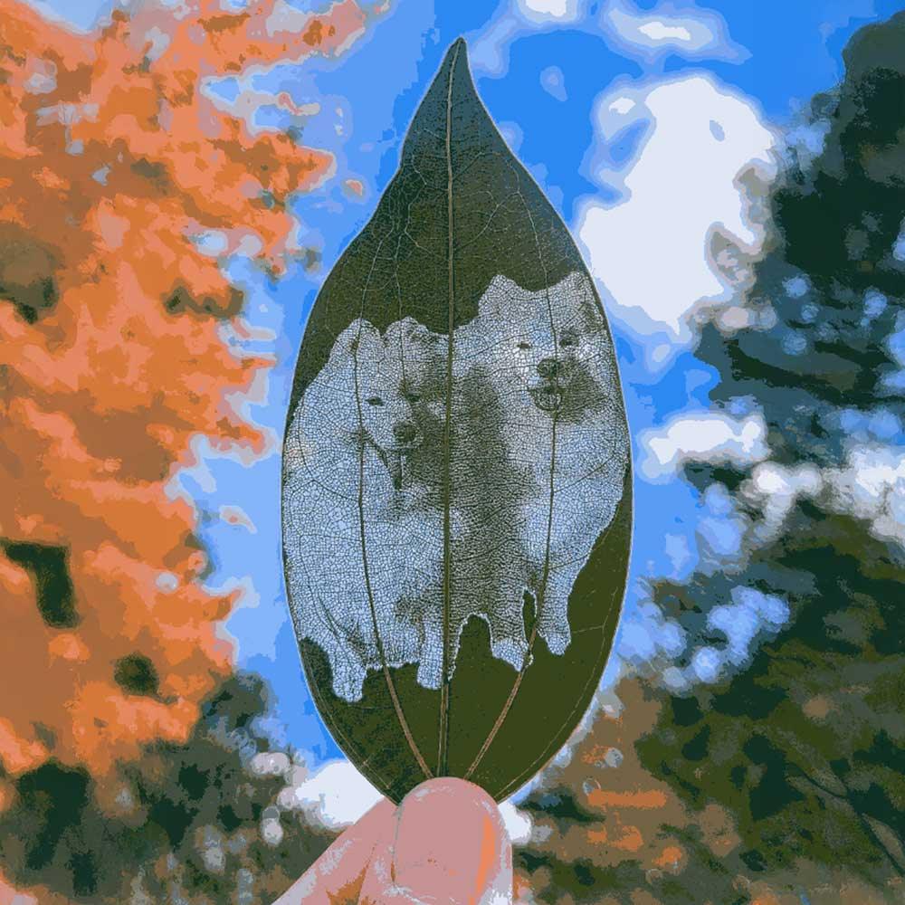 Custom Pet Leaf Carving – Handcrafted Portrait on a Real Leaf