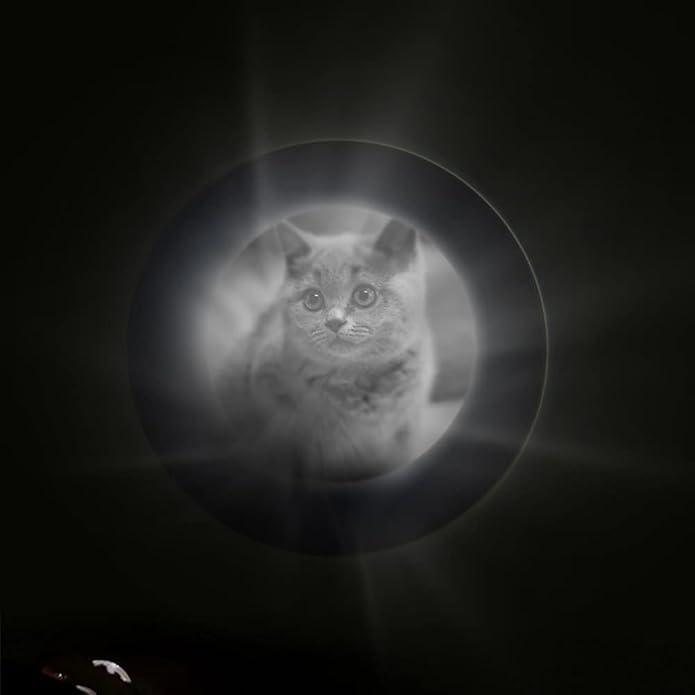 Timeless Heart – Custom Pet Photo Projection Necklace