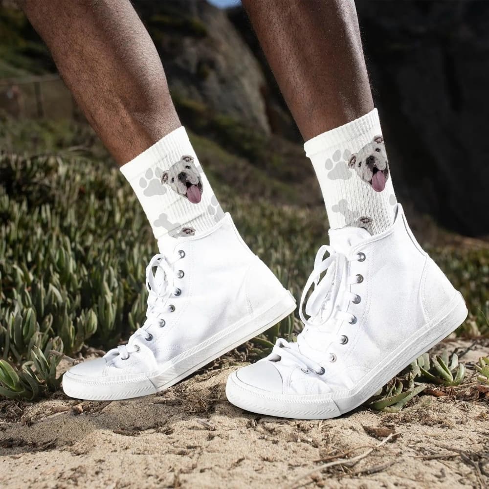 Custom Personalized Pet Socks