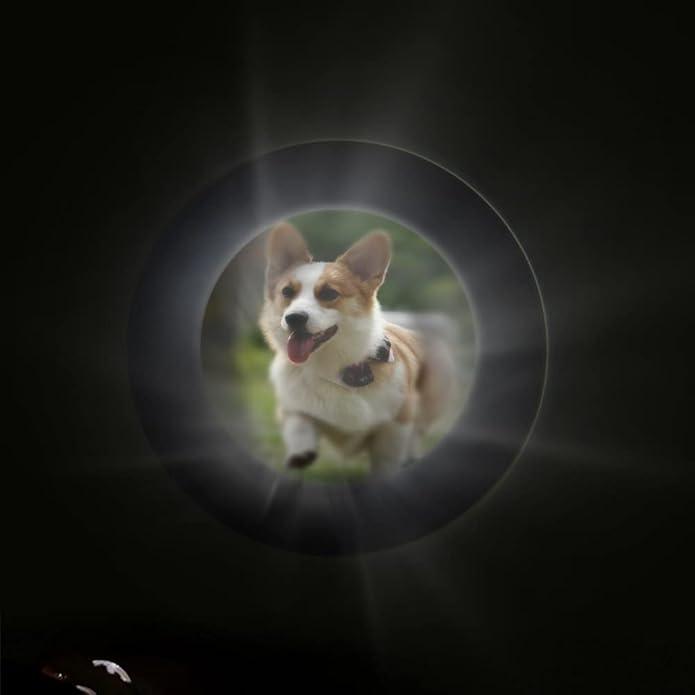 Timeless Heart – Custom Pet Photo Projection Necklace