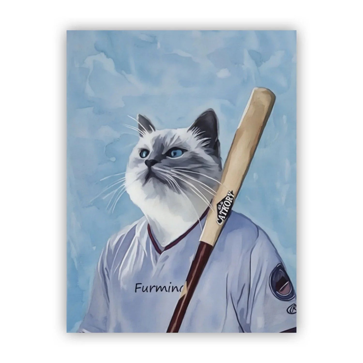 Custom Pet Paint by Numbers – The Baseball Player