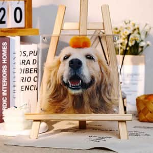 Furmino