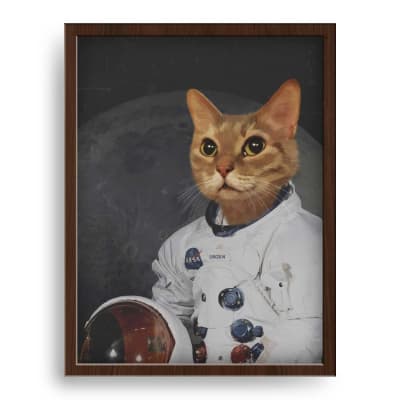 Furmino